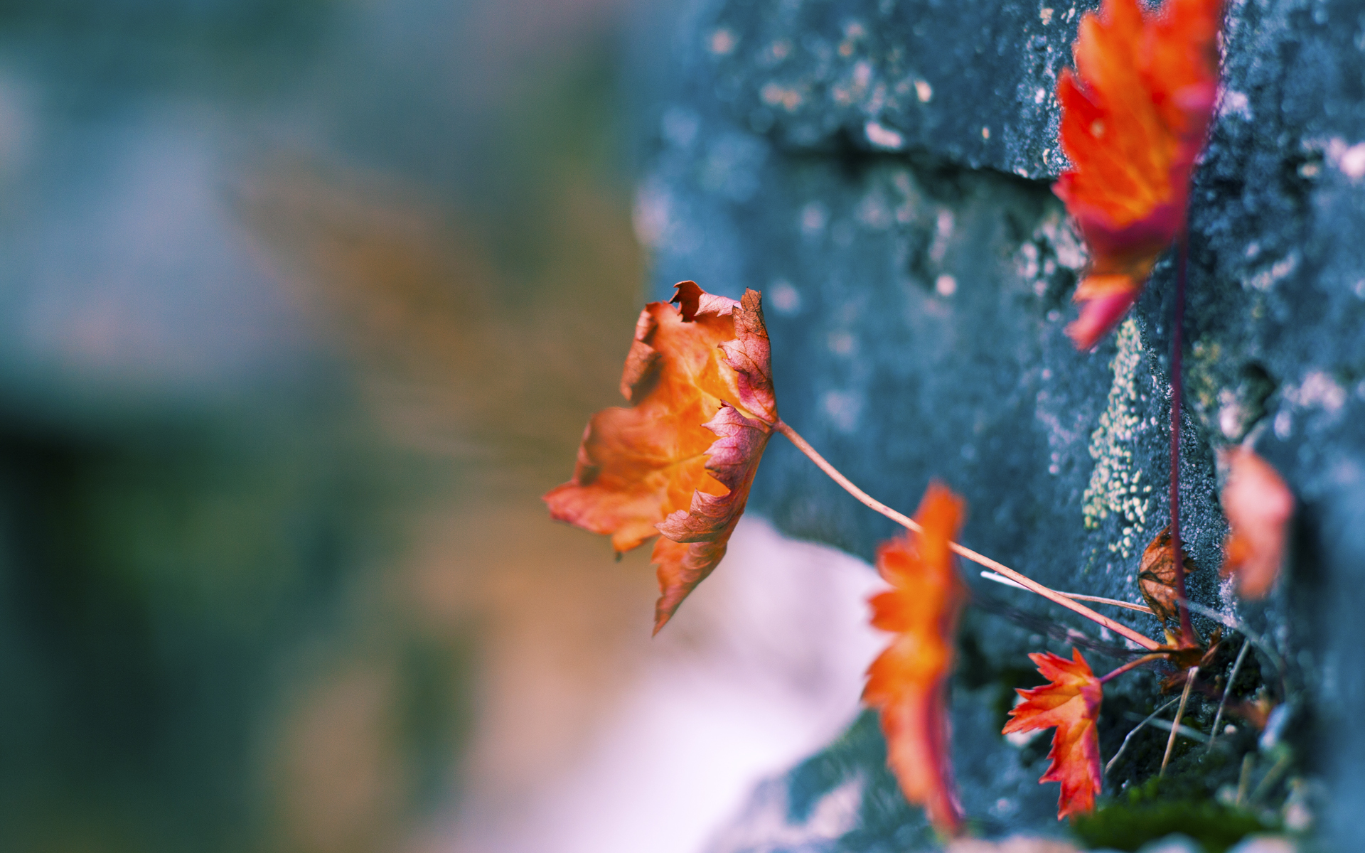 九游电竞中心-全球电竞市场规模持续扩大，亚洲地区增长迅速，2019全球电竞行业与用户发展报告